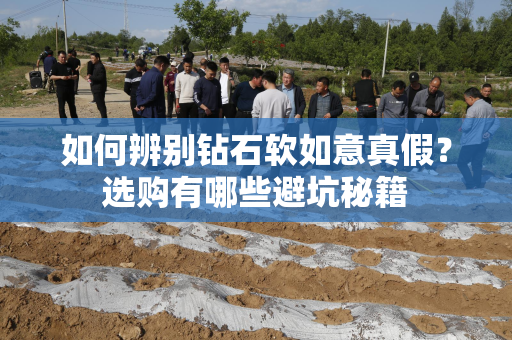 如何辨别钻石软如意真假？选购有哪些避坑秘籍